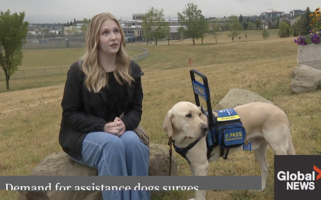 GLOBAL AB: DOUBLE YOUR DONATION – INTERNATIONAL ASSISTANCE DOG WEEK